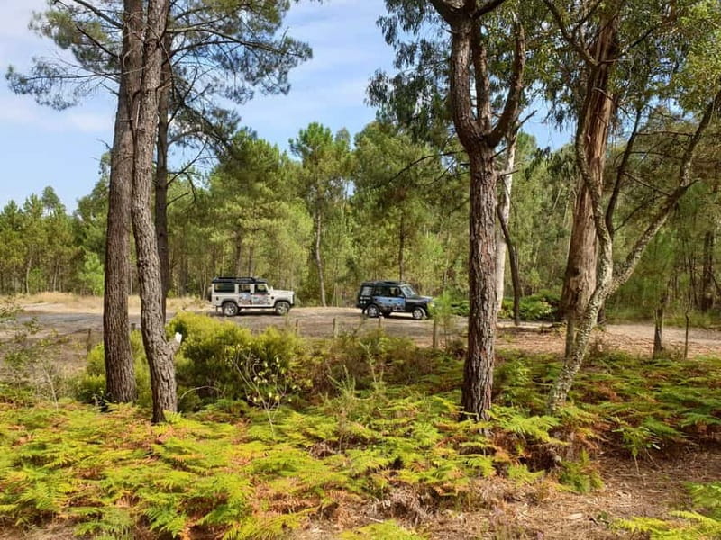 Porto: 4x4 Mountain Tour - Price and What You’re Really Paying For (Not Just the $82 Number)