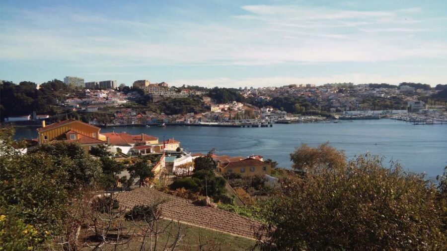 Porto: a ride along the coast in a fun eco-friendly car - Driving the Atlantic Avenues: a quick education in Porto’s seaside layout