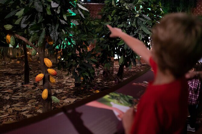 Porto: Chocolate Museum - Chocolate’s Delicious Journey + Tasting - Stepping into The Chocolate Experience by 20|20