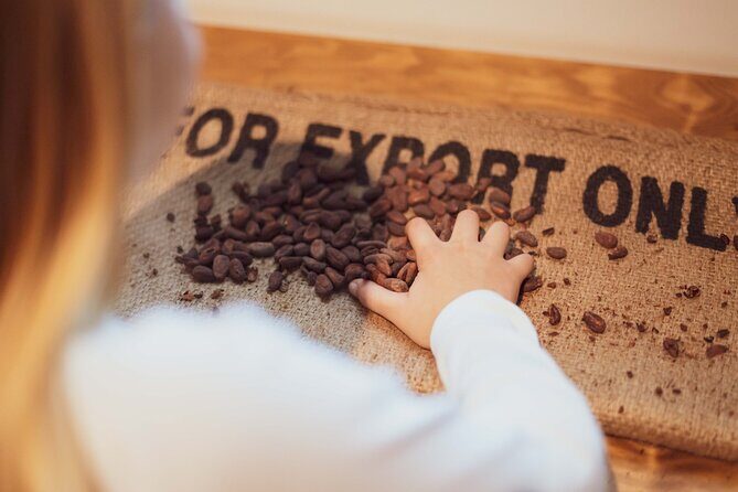 Porto: Chocolate Museum - Chocolate’s Delicious Journey + Tasting - The Vinte Vinte factory visit: why it’s more than just a chocolate shop