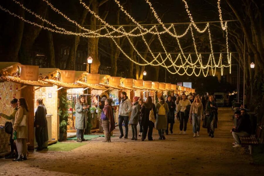 Porto: Christmas Lights Flexible Walking Tour - Key Highlights You’ll Actually Feel While Walking