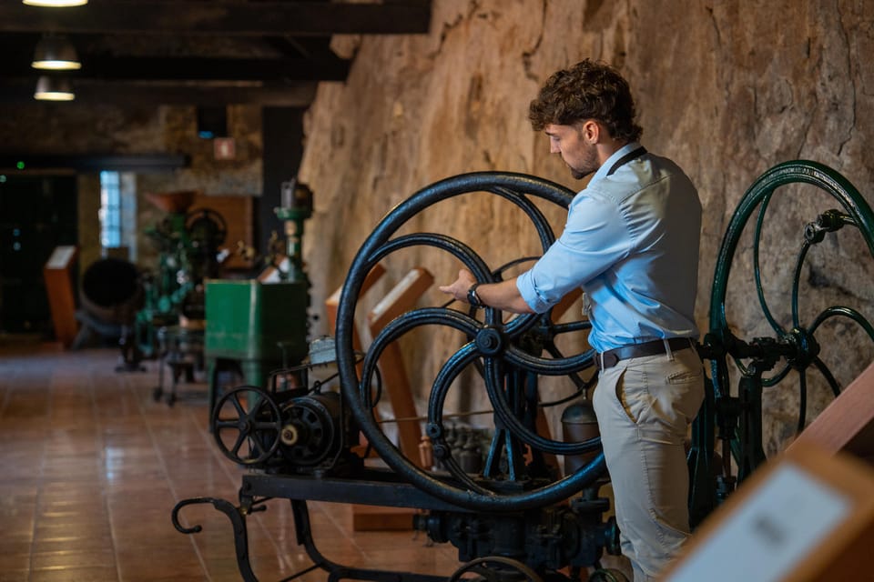 Porto City Full Day Minibus Tour, Wine Tasting & Six Brigdes - From São Bento meeting point to a day that actually moves