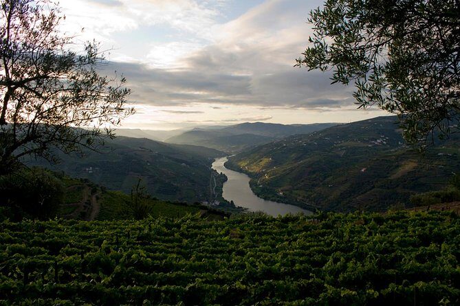 Porto: Day Trip to Douro including lunch and Rivercruise - UNESCO Douro Valley and lunch with drinks included