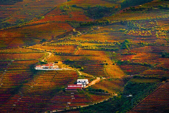 Porto: Douro Valley, 2 Wine Regions, Sommelier, Boat Trip & Lunch - What You’ll Taste—and Why This Stops Short of Just Drinking