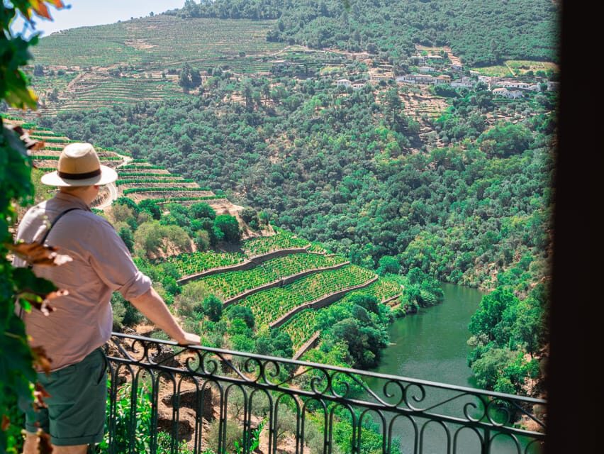 Porto: Douro Valley Private Tour, Tastings, Cruise & Lunch - Key highlights you’ll actually feel during the day