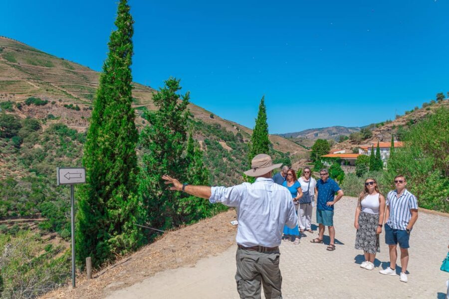 Porto: Douro Valley Private Tour, Tastings, Cruise & Lunch - What the tour price buys you (and when it’s a bargain)