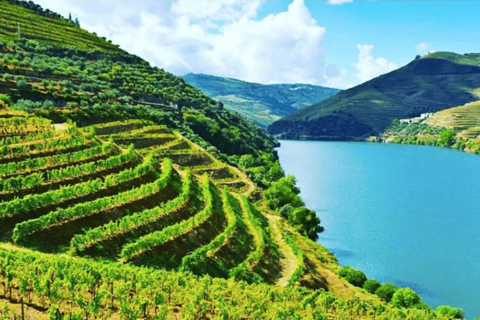 Porto: Douro Valley Tour w/ 3 Tastings, Lunch, & Opt. Cruise - Key Highlights Worth Planning For
