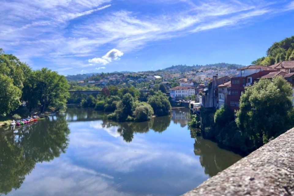 Porto: Douro Valley Tour w/ 3 Tastings, Lunch, & Opt. Cruise - Olive Oil Museum Tastings: A Different Kind of Wine Pairing