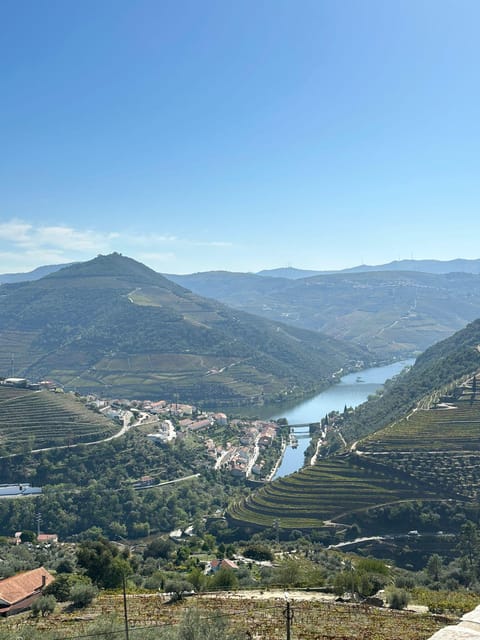 Porto: Douro Valley Tour w/ 3 Tastings, Lunch, & Opt. Cruise - Price and Logistics: Does $150 Make Sense for This Day?