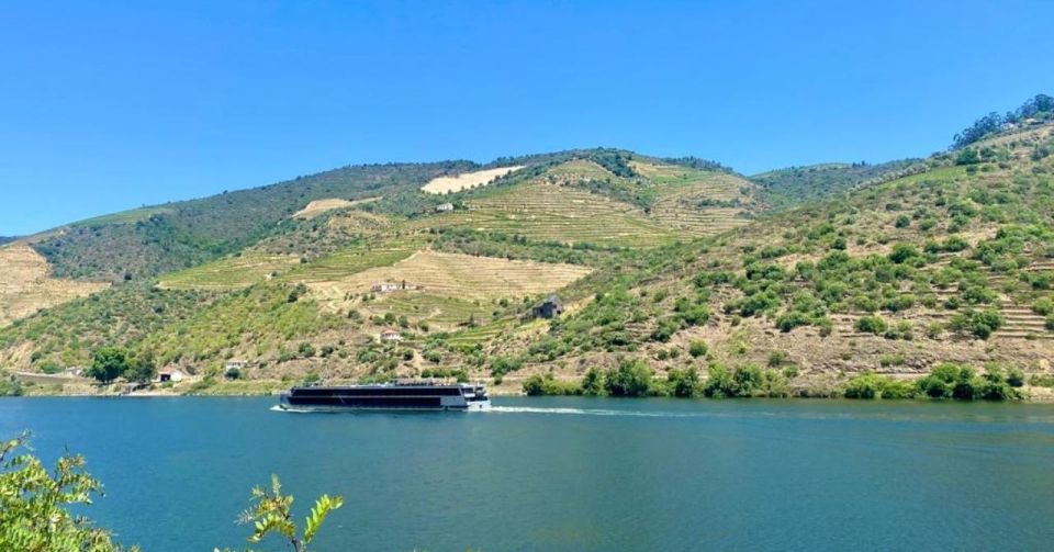 Porto: Douro Valley Tour with 2 Wineries, Lunch and Cruise - Who this tour suits best (and who should skip it)
