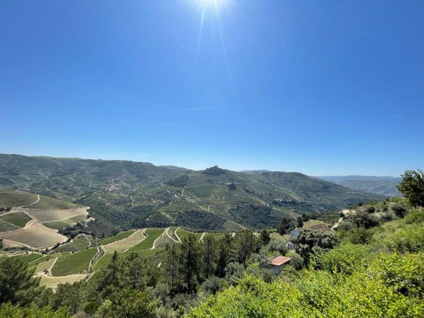 Porto: Douro Valley Tour with 2 Wineries, Lunch and Cruise - N222 viewpoints and the São Cristovão photo stop: scenery with a purpose