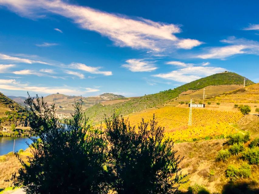 Porto: Douro Valley Tour with 2 Wineries, Lunch and Cruise - Small-group comfort: why max 8 really changes the day