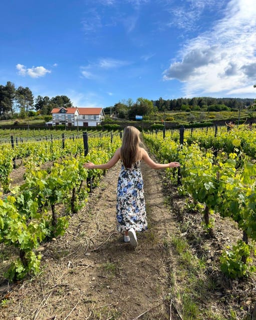 Porto: Douro Valley Tour with 2 Wineries, Lunch and Cruise - What’s included, and what that means for your money