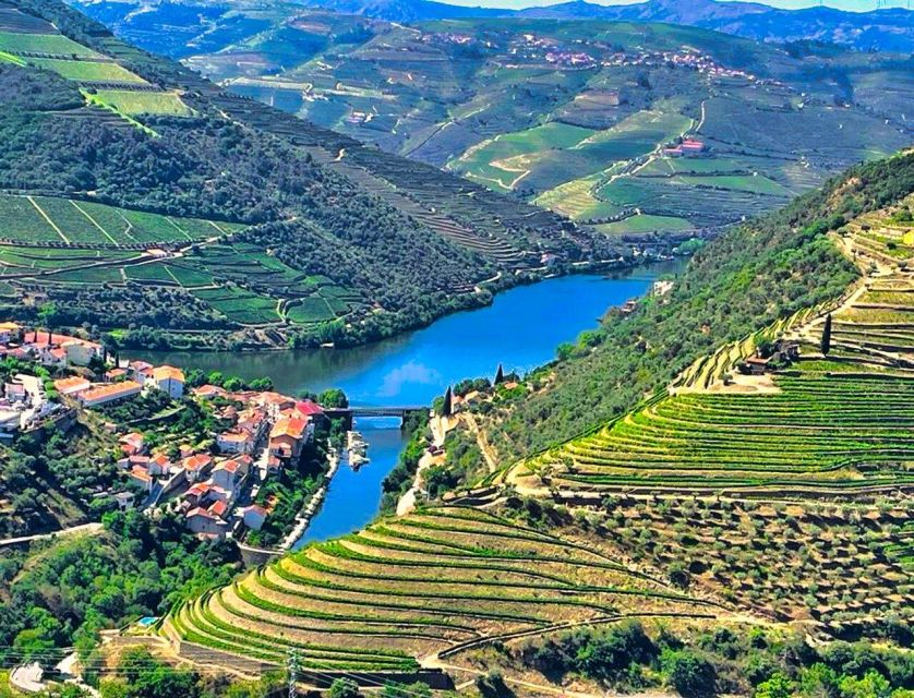 Porto: Douro Valley Tour with 2 Wineries, Lunch and Cruise - Weather and the cruise: how to keep the day from feeling derailed