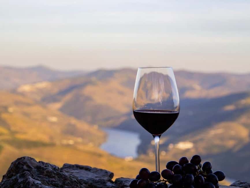 Porto: Douro Valley Tour with 3 vineyards and lunch. - Second Sabrosa Stop: more tasting, more context, less repetition