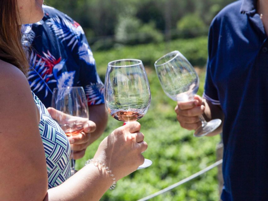 Porto: Douro Valley Tour with 3 vineyards and lunch. - What You Actually Taste: Port wine, table wine, and olive oil