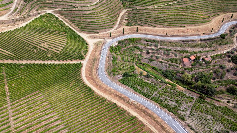 Porto: Douro Valley Tour with 3 vineyards and lunch. - The Lunch in Detail: traditional flavors and real options