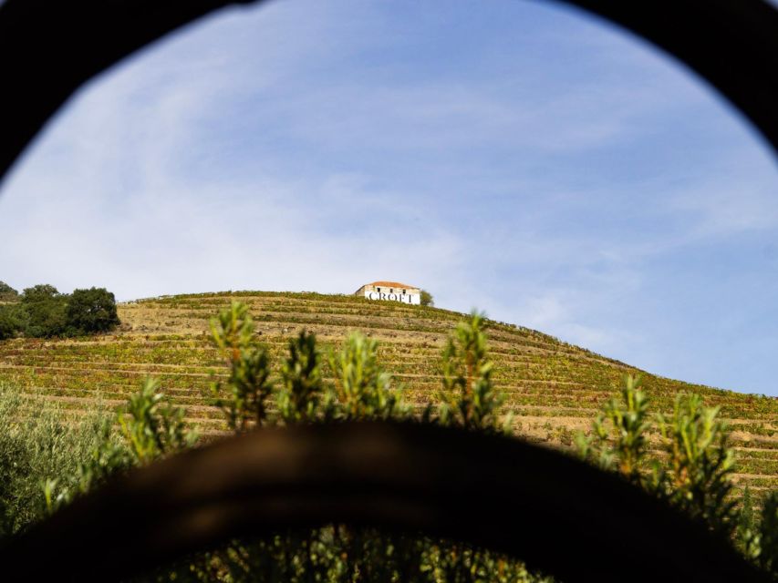 Porto: Douro Valley Tour with 3 vineyards and lunch. - Transport and timing: why a 9-hour day still works
