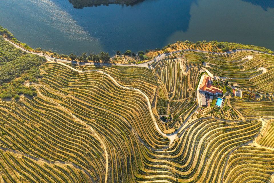 Porto: Douro Valley Tour with Lunch, Boat Cruise & Tastings - Lunch in a wine cellar: the best value moment of the day