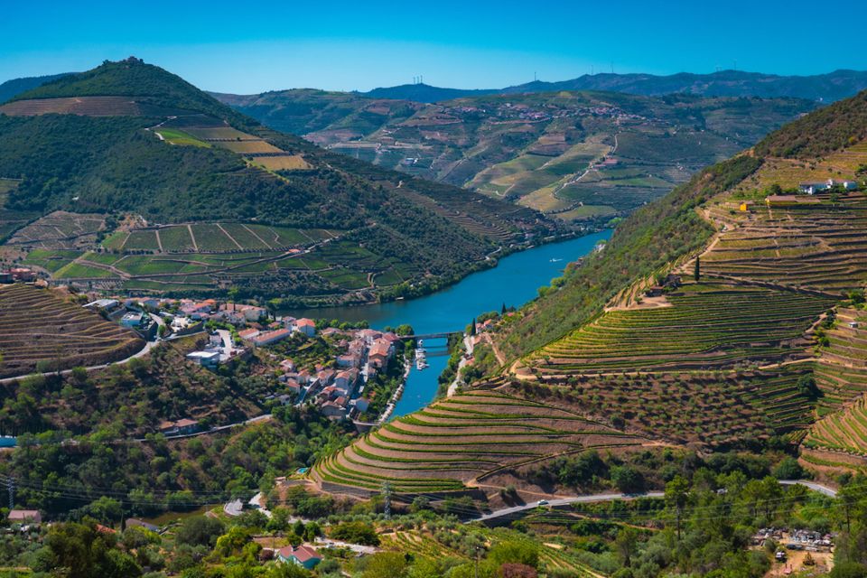 Porto: Douro Valley Tour with Lunch, Boat Cruise & Tastings - The N222 road: where the photo stops actually matter
