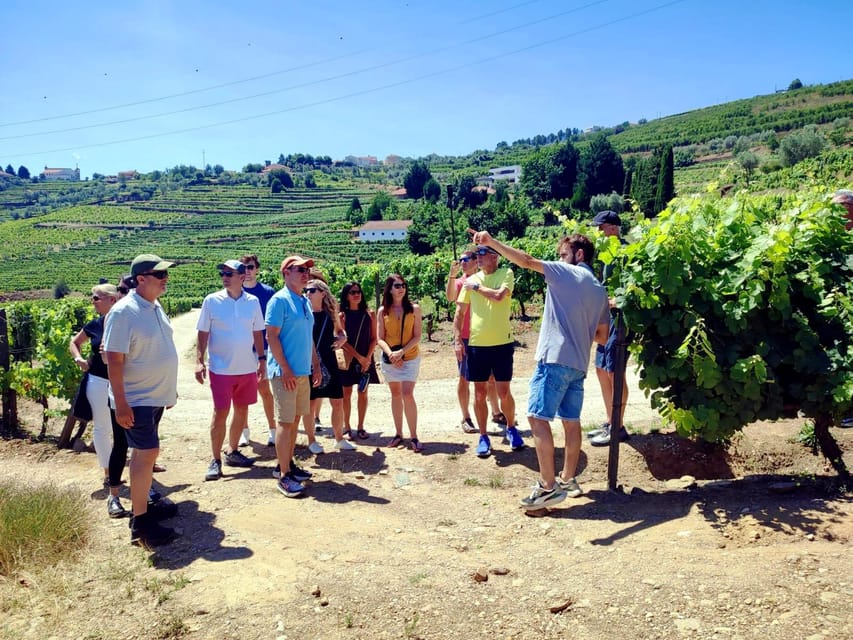 Porto: Douro Valley Vineyards Tour with Lunch & River Cruise - Lamego wine tasting: where you learn the port logic