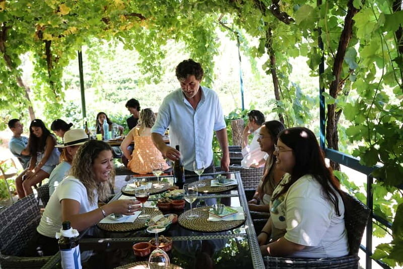 Porto: Douro Valley with Small Wineries, Lunch and Boat Tour - The value question: what $111 buys in the real world