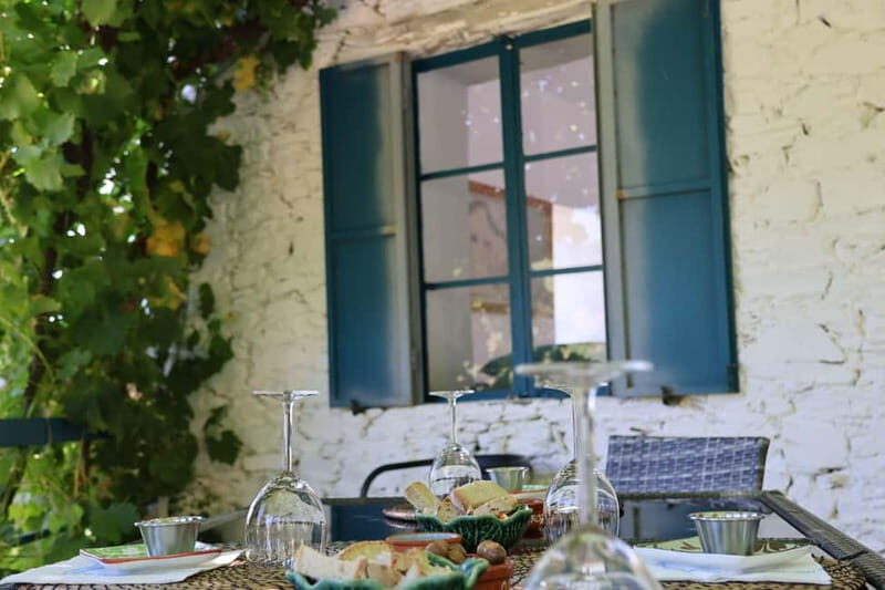 Porto: Douro Valley with Small Wineries, Lunch and Boat Tour - Douro River photo stop: quick and useful