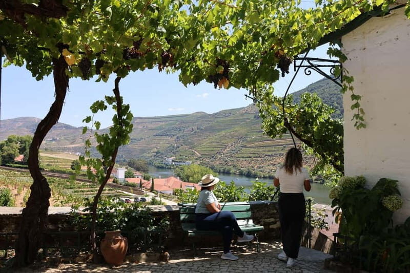 Porto: Douro Valley with Small Wineries, Lunch and Boat Tour - Second winery and tastings: how to pace your palate