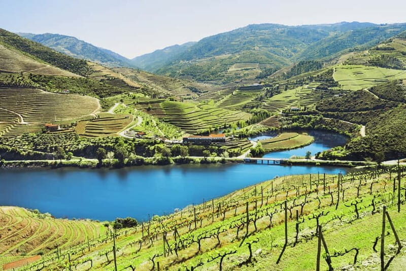 Porto: Douro Wine Tour with Lunch and River Cruise - Winery stop 1: Port tastings that set the stage