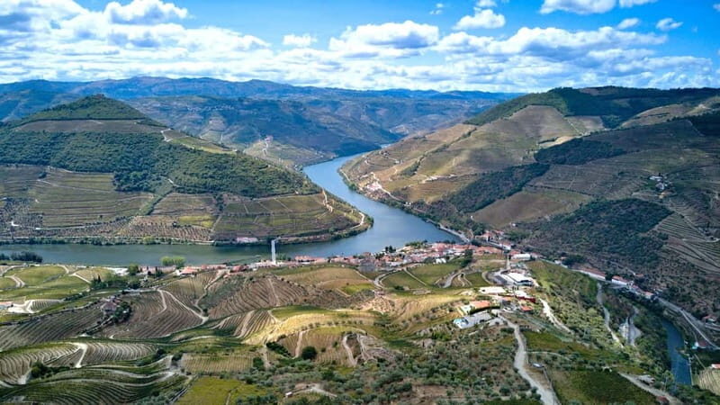Porto: Douro Wine Tour with Lunch and River Cruise - The guide makes or breaks the day (and here it’s usually a win)