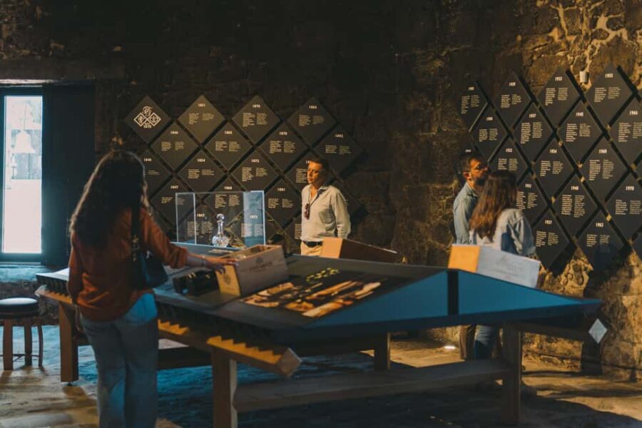Porto: Fonseca Cellar Tour & WOW Museum Pack - WOW in Vila Nova de Gaia: the best way to start your Porto day
