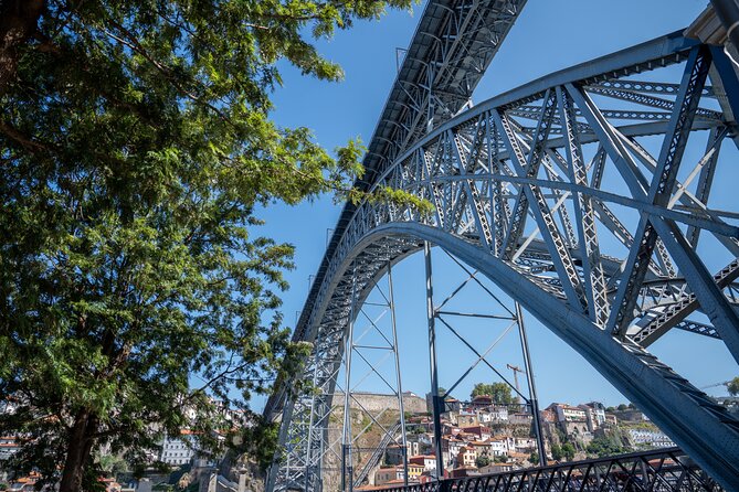 Porto Half-Day Guided Historical Tour with Port Cellar Visit and Tasting - Timing, Crowds, and the Real Walking Pace