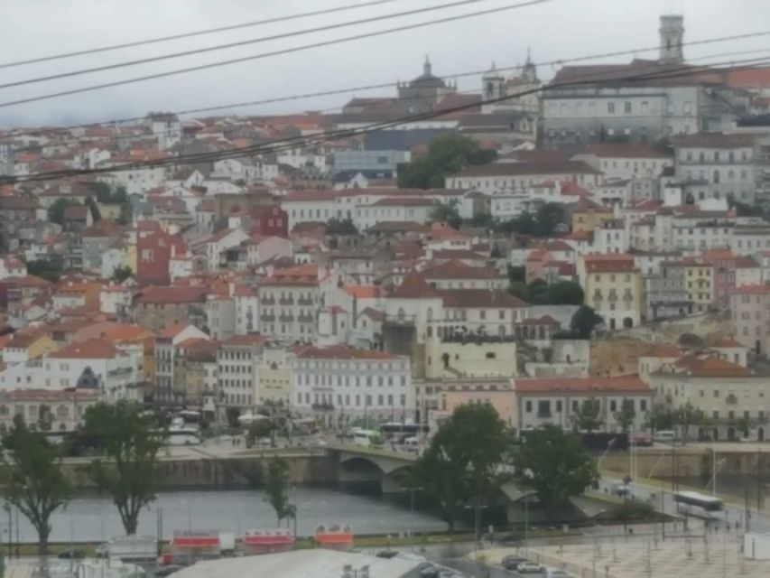 Porto: Half-Day Small Group City Tour with port wine tasting - Where the port tasting fits: Burmester with a real guide