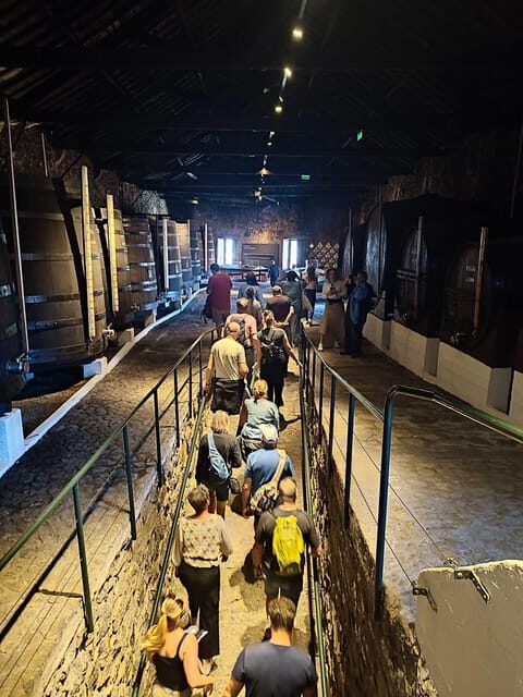 Porto: Port and Douro Wine Walking Tour with 9 Tastings - Stop 1: Vasques De Carvalho and your first Port lesson