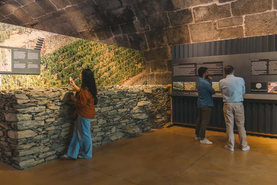 Porto: Port Cellar Visit and Wine Tasting at Fonseca - Fonseca Port Cellars: What the visit feels like in real life