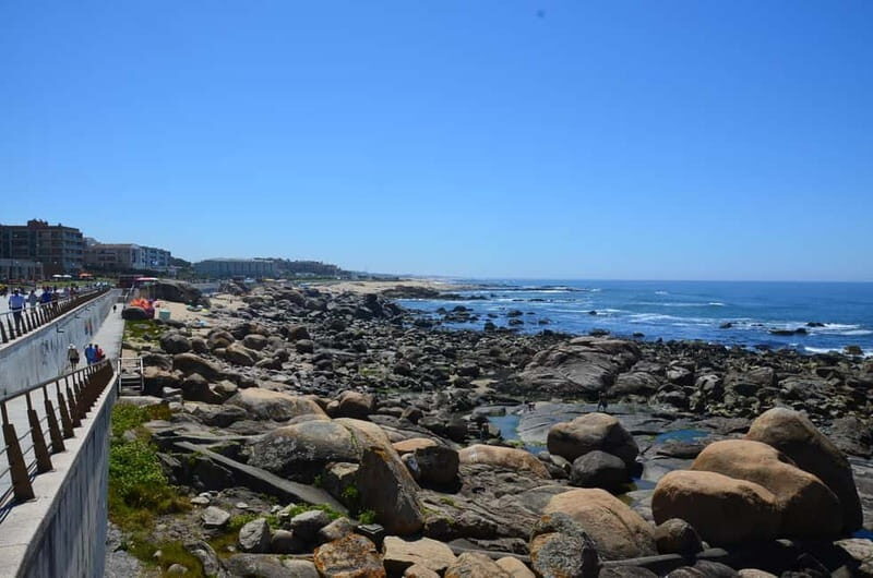 Porto: Porto Bike Atlantic Route - Ovar Break and Guided Moments: The Coast in Smaller-City Mode