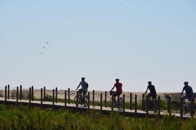 Porto: Porto Bike Atlantic Route - The 45-Minute Train Segment: Why It’s Not a Detour