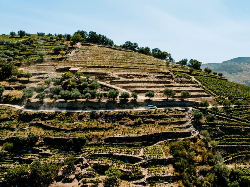 Porto: Private Douro Valley 4x4 Tour with Lunch - Quinta Time: Family Winery Lunch and Wine Tasting You Can Taste