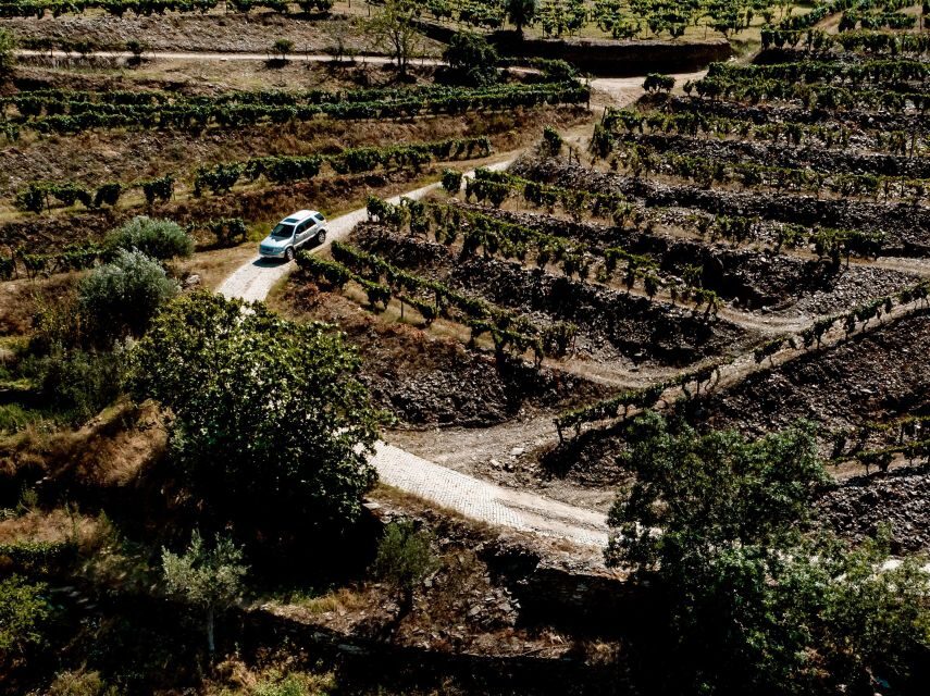 Porto: Private Douro Valley 4x4 Tour with Lunch - Your Private Guide: What the Best Ones Do Differently