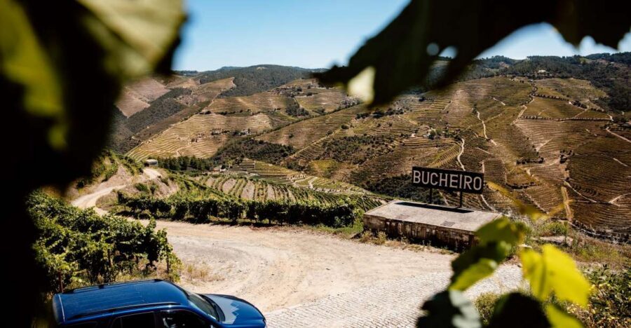 Porto: Private Douro Valley 4x4 Tour with Lunch - Pickup Options From Porto, Douro, or Peso da Régua
