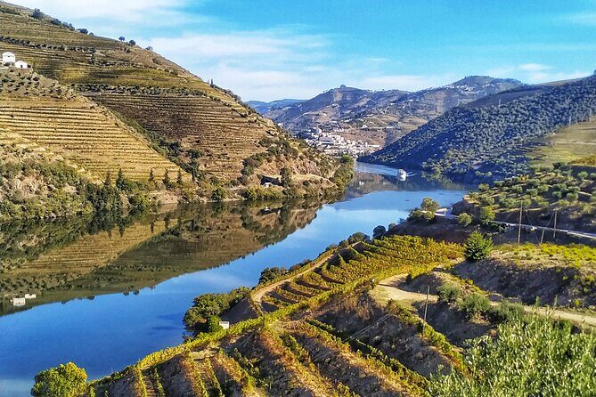 Porto: Private Douro Valley All Inclusive: Tastings, Lunch & Boat - Pinhão’s one-hour Douro cruise: the best seat is on the water