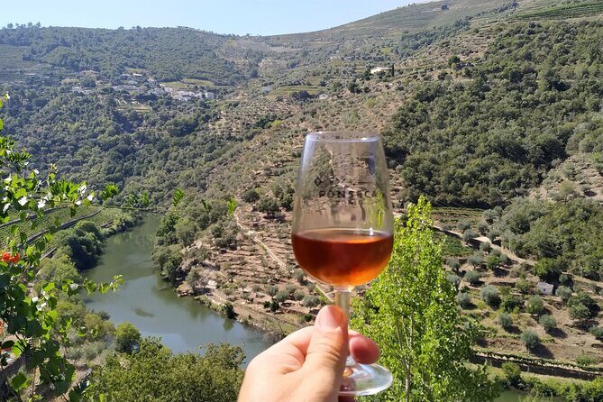 Porto: Private Douro Valley All Inclusive: Tastings, Lunch & Boat - Price and what you really get for about $300