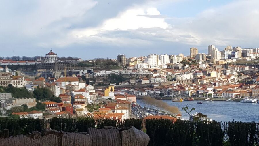 Porto: Private Half-Day as a Local Experience - Guides make or break it: what to look for