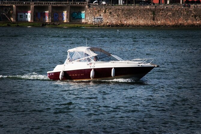 Porto : Private Tour to the Louis Bridge, group price up to 6px - The 1-hour Douro River cruise: Porto and Gaia in one smooth sweep