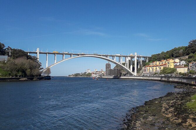 Porto Riverbank E-Bike Tour - Atlantic Coast, Gardens - Stop 4: Ponte da Arrábida for a landmark bridge and a quick speed boost