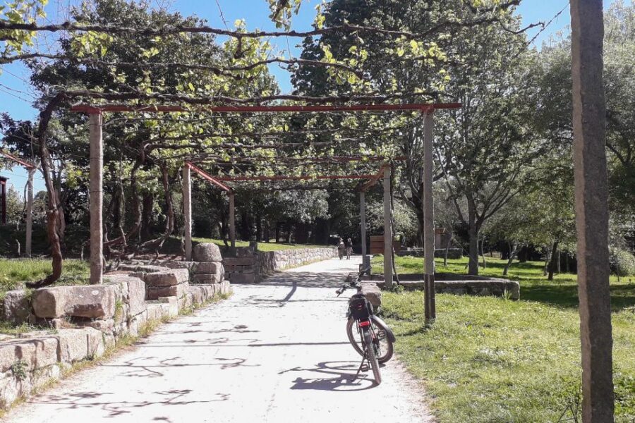 Porto Riverbank Tour on an e-bike: Atlantic Coast, Gardens - Jardim do Passeio Alegre: a viewpoint break with posture-friendly pacing