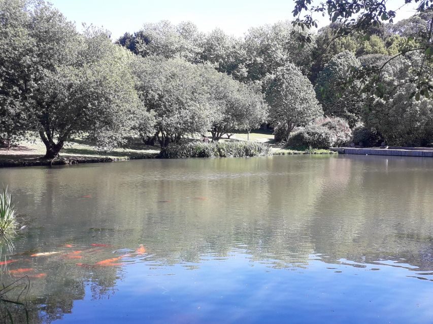 Porto Riverbank Tour on an e-bike: Atlantic Coast, Gardens - Pace, group size, and what $57 really buys you