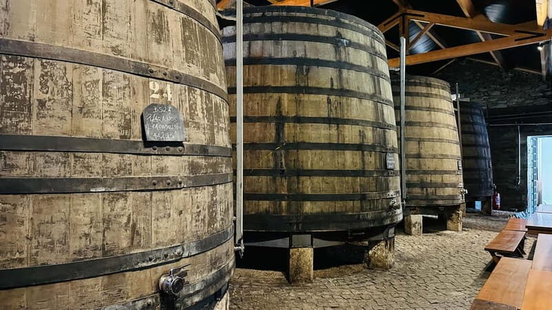 Porto to Gaia Experience: City Walk and Wine Cellars - Key highlights you’ll feel right away
