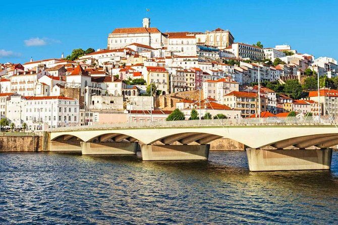 Porto to Lisbon up to 5 stops Aveiro Coimbra Fátima Nazaré Óbidos - Private Vehicle, Real Convenience (Not a Seat-Chaos Bus)