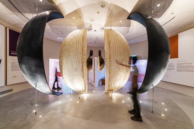 Porto: Wine Experience Museum with 3 Wine Tastings - Porto’s Wine Experience Museum: a smart rainy-day win